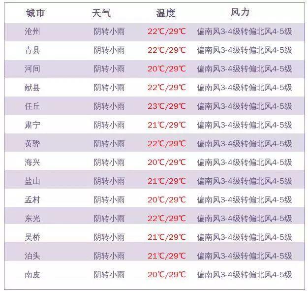 滄州公租房最新消息全面解讀，滄州公租房最新動態(tài)全面解析