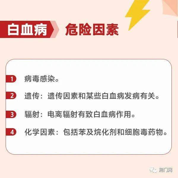 荊門最新招聘求職，探索職業(yè)發(fā)展的無限可能，荊門最新招聘求職信息，探索職業(yè)發(fā)展無限機(jī)遇