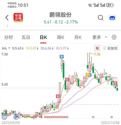 鵬翎股份最新消息全面解讀，鵬翎股份最新消息全面解讀與分析