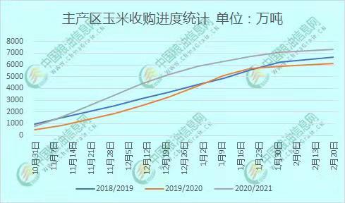 全國玉米價(jià)格最新行情分析，全國玉米價(jià)格最新行情解析