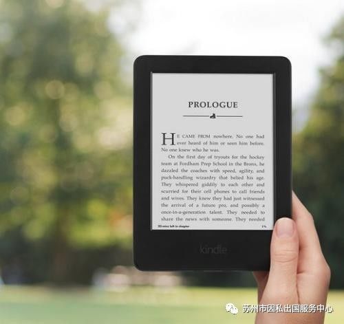 新澳資料免費最新正版,機構(gòu)預(yù)測解釋落實方法_Kindle48.545