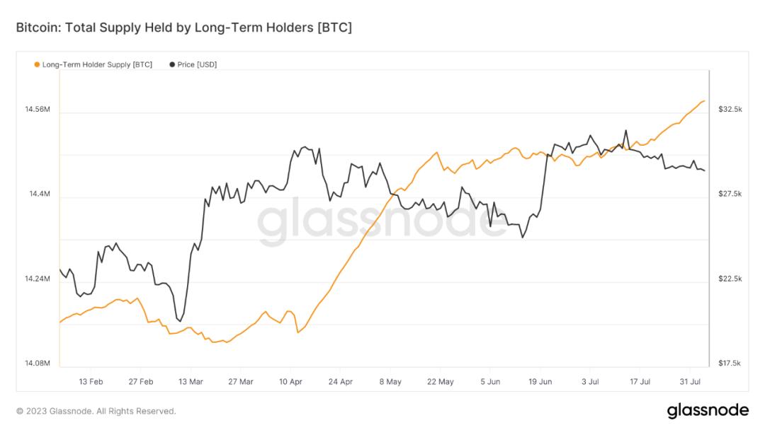 BTC最新價(jià)格行情分析，BTC最新價(jià)格行情解析