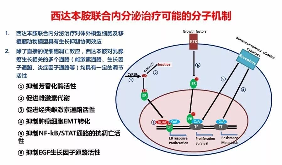 西達(dá)本胺最新消息，研發(fā)進(jìn)展、應(yīng)用前景及市場(chǎng)趨勢(shì)分析，西達(dá)本胺最新研發(fā)進(jìn)展、應(yīng)用前景與市場(chǎng)需求分析，最新消息和市場(chǎng)趨勢(shì)探討