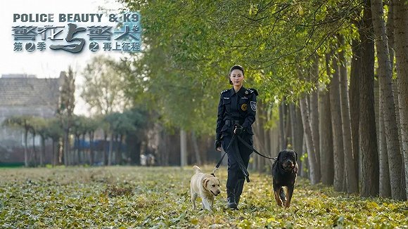 警花與警犬2最新消息，熱血回歸，人與犬的正義新篇章，警花與警犬2熱血回歸，人與犬的正義新篇章最新消息