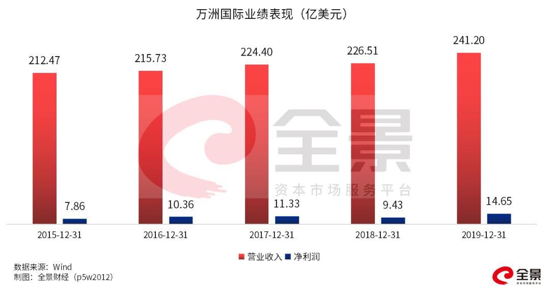 萬(wàn)洲國(guó)際十大股東深度解析，萬(wàn)洲國(guó)際十大股東深度剖析與解讀