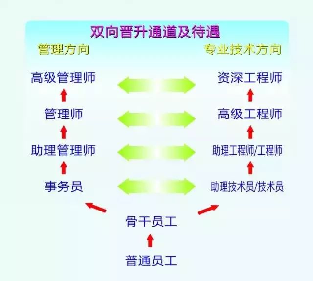 立訊精密最新招聘信息概覽，立訊精密最新招聘信息全面解析