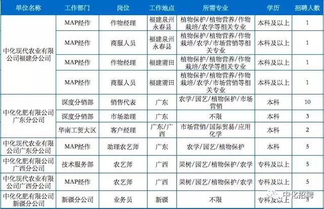 中化集團最厲害的三個職位探討，中化集團頂尖職位深度解析，揭秘最厲害的三個職位的魅力與職責