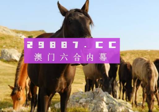 澳門管家婆免費資料查詢系統(tǒng)，探索與解析（2024版），澳門管家婆免費資料查詢系統(tǒng)解析（最新2024版）