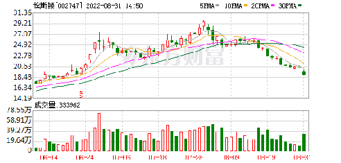 埃斯頓股票，投資潛力與市場(chǎng)前景分析，埃斯頓股票，投資潛力與市場(chǎng)前景深度解析