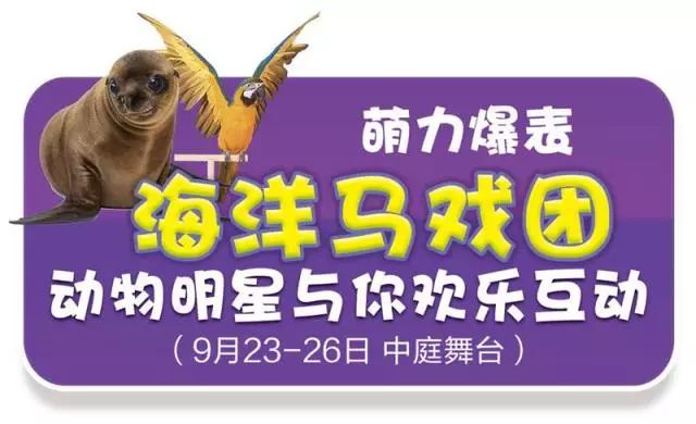 新奧門天天開獎資料大全，揭示背后的風(fēng)險與犯罪問題，新奧門天天開獎背后的風(fēng)險與犯罪問題揭秘