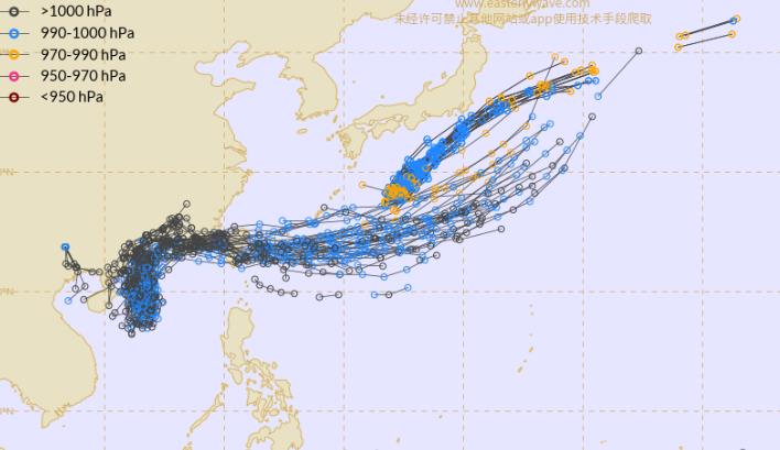 今年二號臺風(fēng)最新消息及其影響分析，今年二號臺風(fēng)最新動態(tài)及其影響深度解析