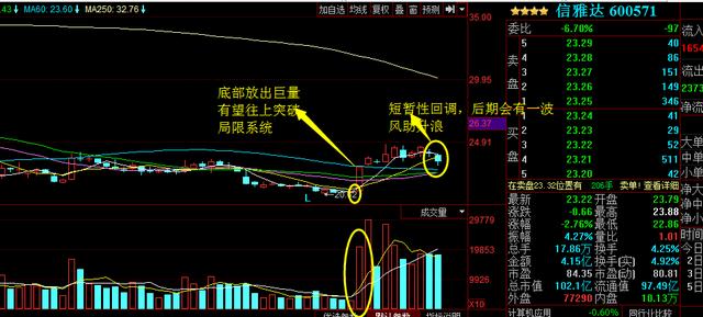 浙大網(wǎng)新為何不漲，深度探究與理性分析，浙大網(wǎng)新股價(jià)不漲背后的原因深度探究與理性分析