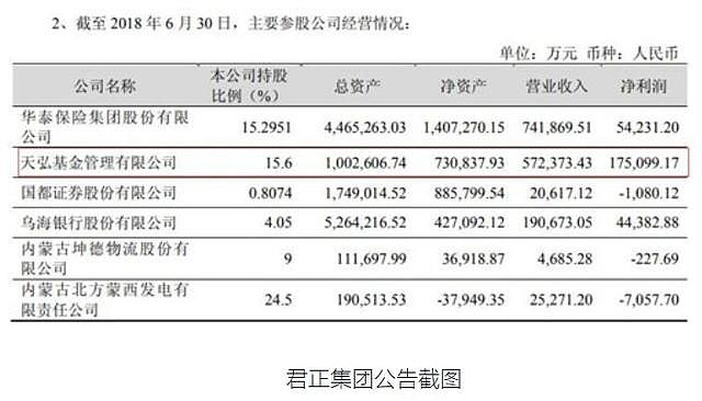 君正集團(tuán)未來(lái)估值，展望與預(yù)測(cè)