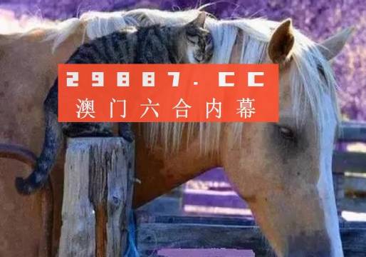 澳門必中一肖一碼四不像——揭開犯罪現(xiàn)象的神秘面紗，澳門犯罪現(xiàn)象揭秘，揭秘必中一肖一碼四不像的神秘面紗