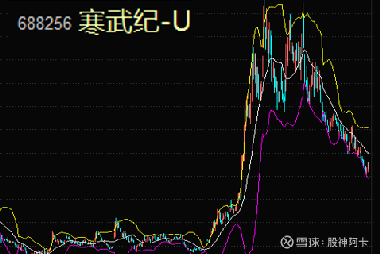 夢(mèng)想之翼 第17頁