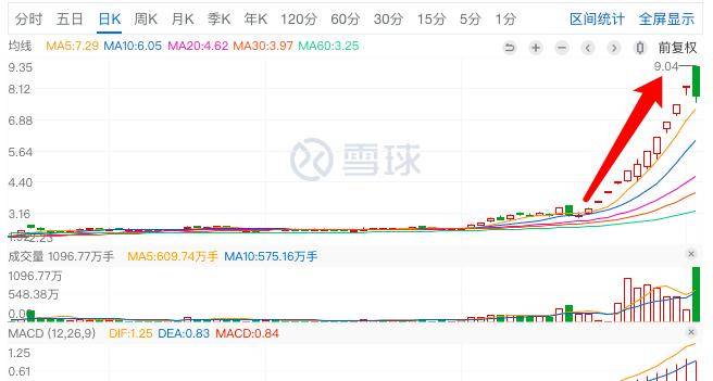 君正集團(tuán)，是妖股還是價(jià)值投資之選？，君正集團(tuán)，價(jià)值投資還是妖股之爭(zhēng)？