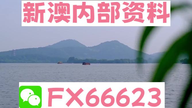 探索未來(lái)之門(mén)，2024新澳精準(zhǔn)資料大全，探索未來(lái)之門(mén)，2024新澳精準(zhǔn)資料大全解析