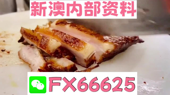 新奧長(zhǎng)期免費(fèi)資料大全，深度挖掘與探索，新奧長(zhǎng)期免費(fèi)資料深度挖掘與探索大全