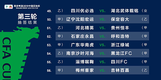 澳門一肖100準(zhǔn)免費(fèi)——揭示背后的違法犯罪問題，澳門一肖100背后的違法犯罪問題揭秘