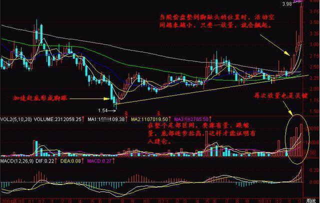 探尋未來之星，2025年有望翻十倍的潛力股票，探尋未來之星，潛力股票展望2025年十倍增長之路