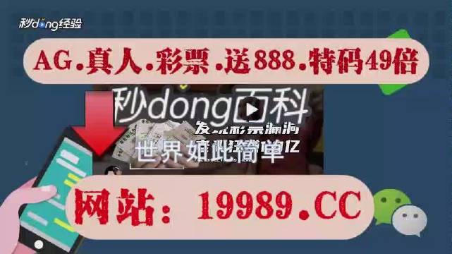 澳門今晚開碼料與犯罪問題探討，澳門今晚開碼料與犯罪問題的深度探討