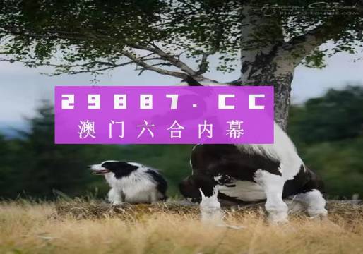 探索精準(zhǔn)新跑狗，數(shù)字77777與88888的神秘之旅，揭秘?cái)?shù)字跑狗之旅，探尋精準(zhǔn)跑狗與神秘?cái)?shù)字77777與88888的秘密