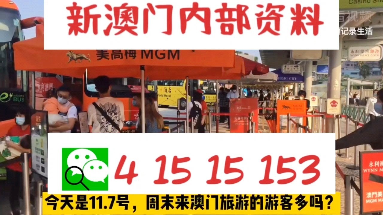 關于新澳門資料大全及家野中特的探討——警惕違法犯罪風險，澳門資料大全及家野中特探討，警惕潛在違法犯罪風險