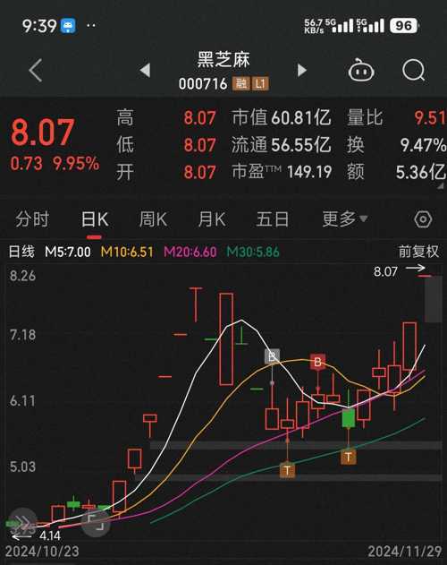 黑芝麻股票，未來能否攀升至20元？，黑芝麻股票未來走勢預測，能否沖破20元大關？