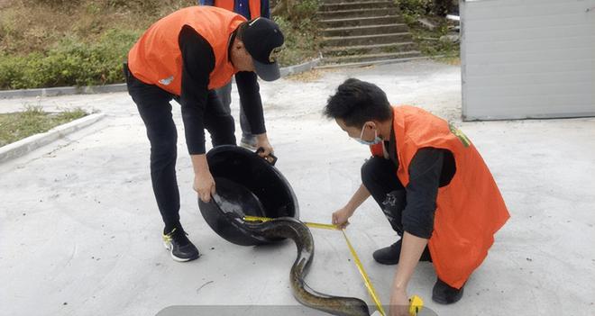 男子撞死二級保護動物被判賠1.5萬，法律對野生動物保護的警示，男子撞死二級保護動物獲判賠1.5萬，法律對野生動物保護的嚴肅警示