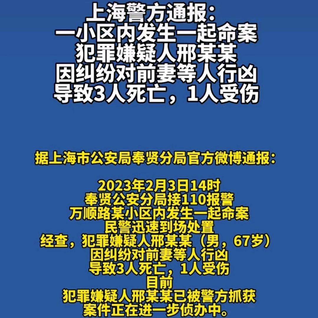 上海某小區(qū)發(fā)生刑案致一死，悲劇背后的警示與反思，上海小區(qū)刑案致一死，悲劇背后的警示與反思