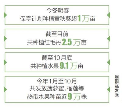 警惕二肖四碼中特期期準(zhǔn)一肖——揭露背后的風(fēng)險與犯罪問題，警惕二肖四碼中特期期準(zhǔn)一肖背后的風(fēng)險與犯罪陷阱揭秘