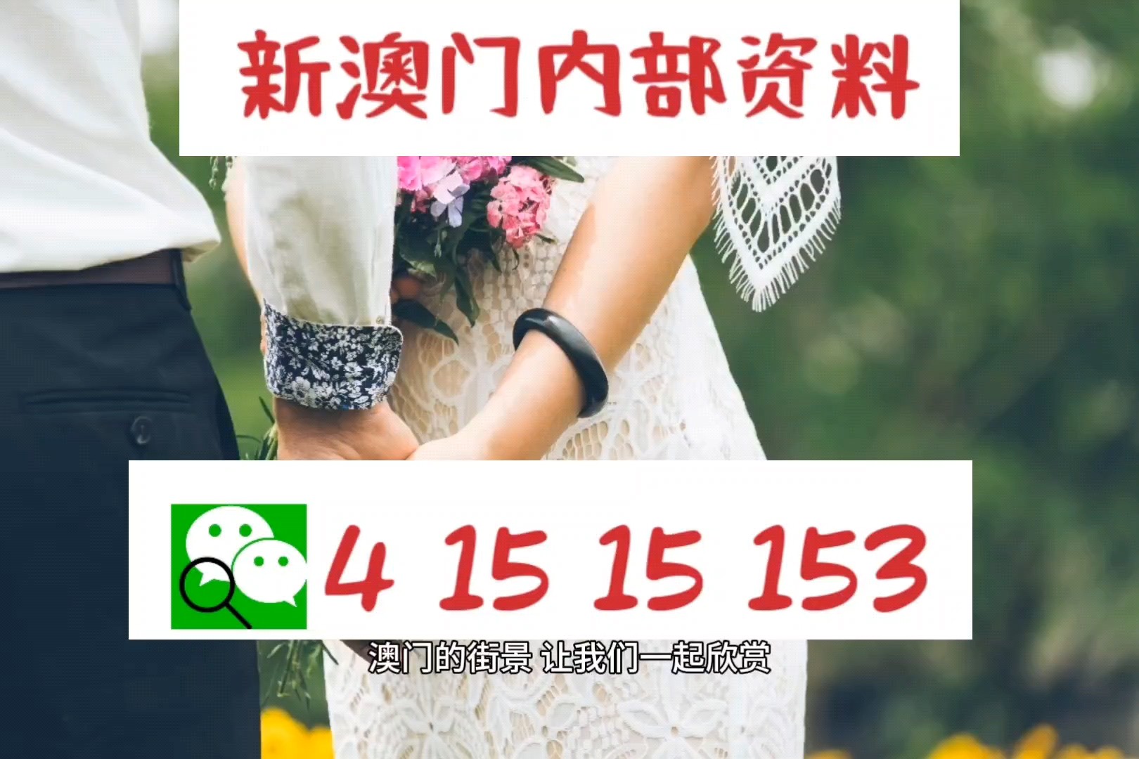 澳門正版資料免費大全新聞——警惕違法犯罪風險，澳門正版資料免費大全新聞需警惕潛在違法犯罪風險