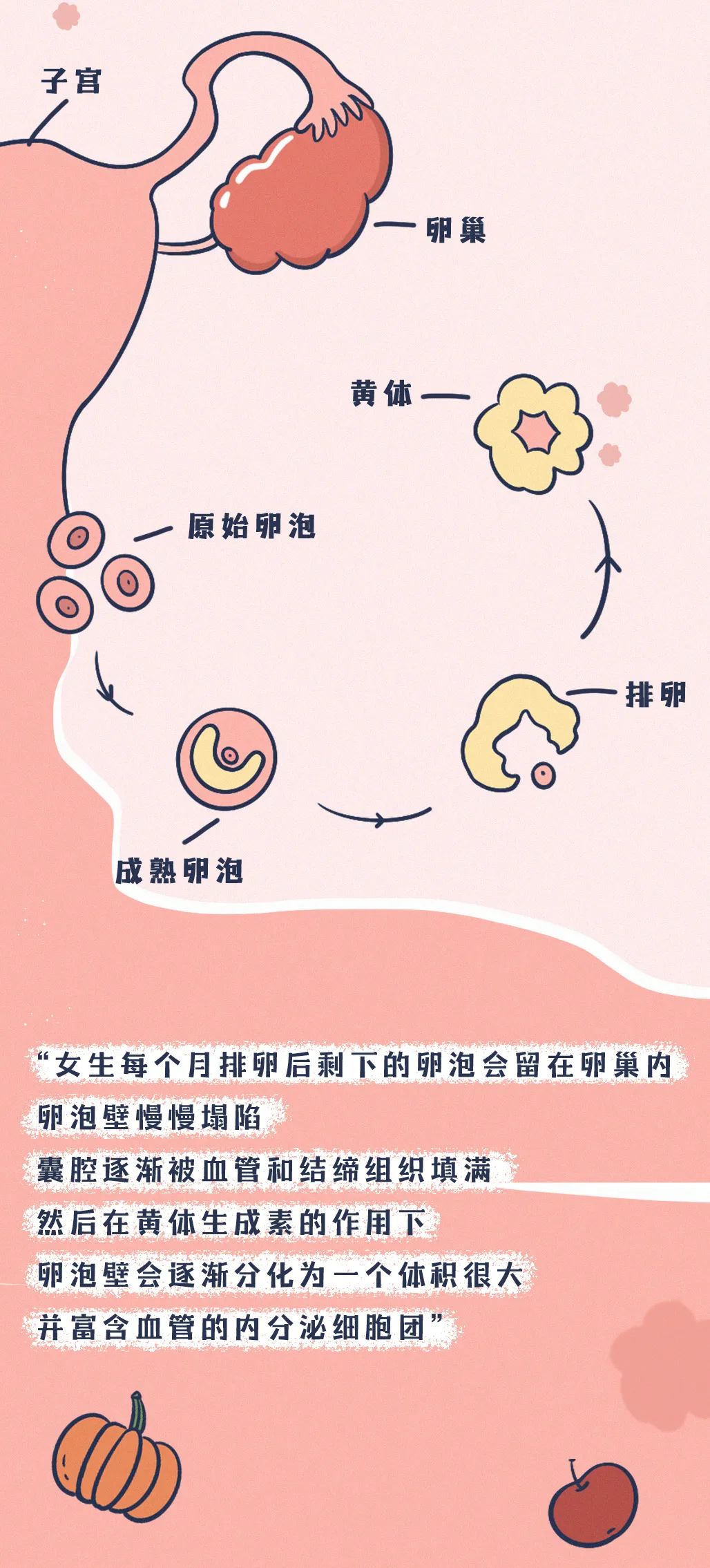 黃體破裂的早期癥狀及其影響，黃體破裂的早期癥狀與影響解析