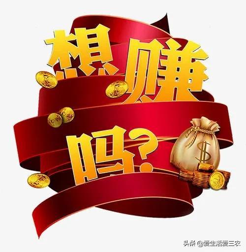 一天賺500，如何實現(xiàn)你的收入目標(biāo)，一天賺500，實現(xiàn)你的收入目標(biāo)指南