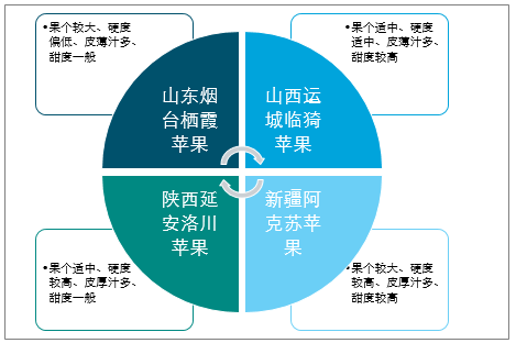 陜西蘋果產(chǎn)業(yè)全產(chǎn)業(yè)鏈深度解析，陜西蘋果產(chǎn)業(yè)全產(chǎn)業(yè)鏈深度探究