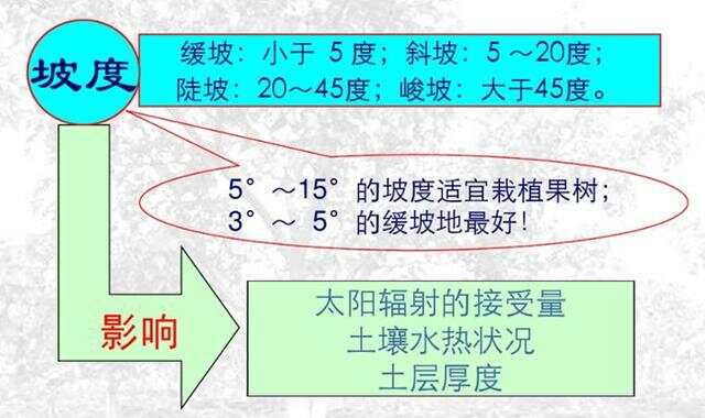 坡度超過25度耕地減少的原因分析，坡度超過25度耕地減少的原因探究