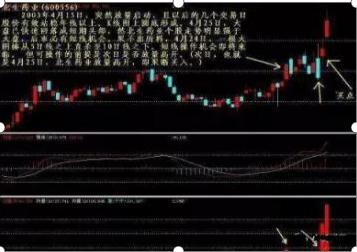 花間一壺酒 第11頁