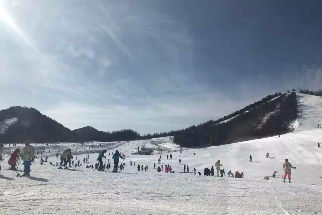 滑雪最好的地方，探索雪域奇境的魅力，探索雪域奇境，滑雪的最佳勝地