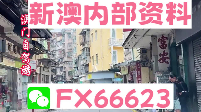 新澳正版資料免費(fèi)提供，助力個(gè)人與企業(yè)的成長(zhǎng)與發(fā)展，新澳正版資料助力成長(zhǎng)與發(fā)展，個(gè)人與企業(yè)的免費(fèi)資源寶庫(kù)