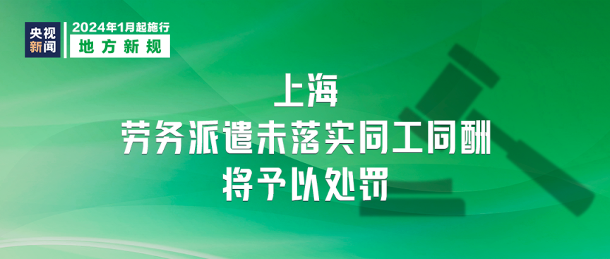 新奧2024年免費(fèi)資料大全,資源策略實(shí)施_X21.882