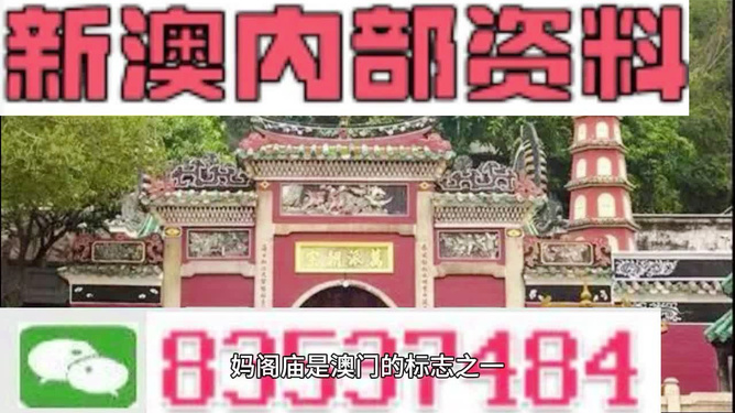 澳門三肖三碼精準100%黃大仙——揭示背后的違法犯罪問題，澳門三肖三碼精準預測背后的違法犯罪問題揭秘