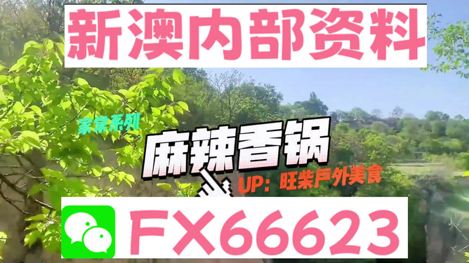 新澳精準(zhǔn)資料免費(fèi)提供的深度解析，新澳精準(zhǔn)資料深度解析，免費(fèi)提供的內(nèi)幕揭秘