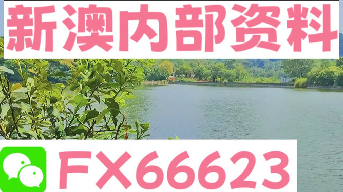 新澳精準(zhǔn)資料免費(fèi)提供網(wǎng)站排行榜