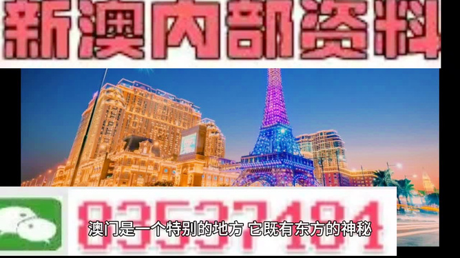 探索澳門特馬的世界，2024年的今晚，澳門特馬世界的探索之旅，2024年今晚之夜