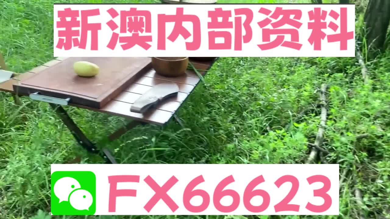 新澳天天開獎(jiǎng)資料大全與旅游攻略詳解，新澳天天開獎(jiǎng)資料及旅游攻略詳解大全