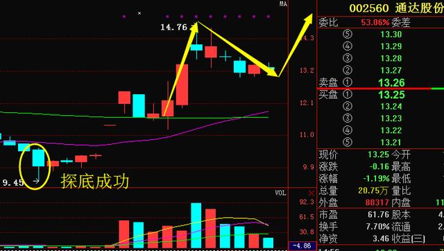 通達(dá)股份股票股吧，深度解析與前景展望，通達(dá)股份股票股吧深度解析及前景展望