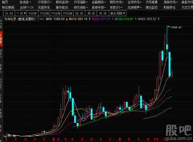 股吧600309，深度解析與前景展望，股吧600309深度解析與未來前景展望