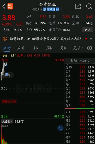 金貴銀業(yè)股票，投資機(jī)遇與挑戰(zhàn)并存，金貴銀業(yè)股票，投資機(jī)遇與挑戰(zhàn)的并存分析