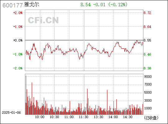 解析600177股票行情，投資視角的深度探討，深度解析，600177股票行情與投資視角探討