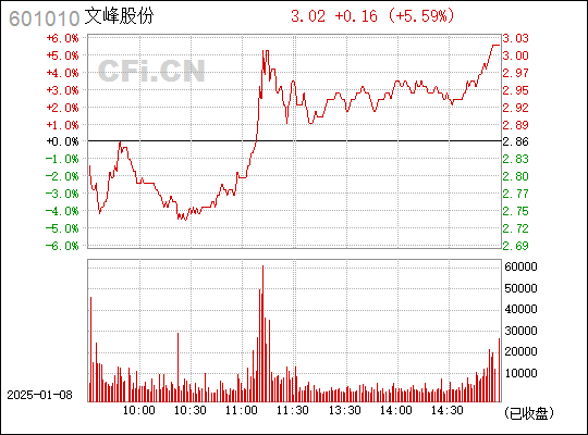 探索文峰股份，601010的獨(dú)特魅力與未來展望，文峰股份（601010）的獨(dú)特魅力及未來展望探索